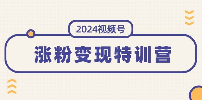 2024视频号-涨粉变现特训营：一站式打造稳定视频号涨粉变现模式（10节）-91搞钱