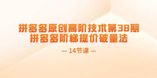 拼多多原创高阶技术第38期，拼多多阶梯提价破量法（14节课）-91搞钱