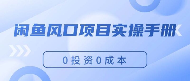 闲鱼风口项目实操手册，0投资0成本，让你做到，月入过万，新手可做-91搞钱